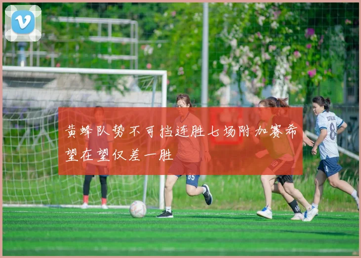 黄蜂队势不可挡连胜七场附加赛希望在望仅差一胜